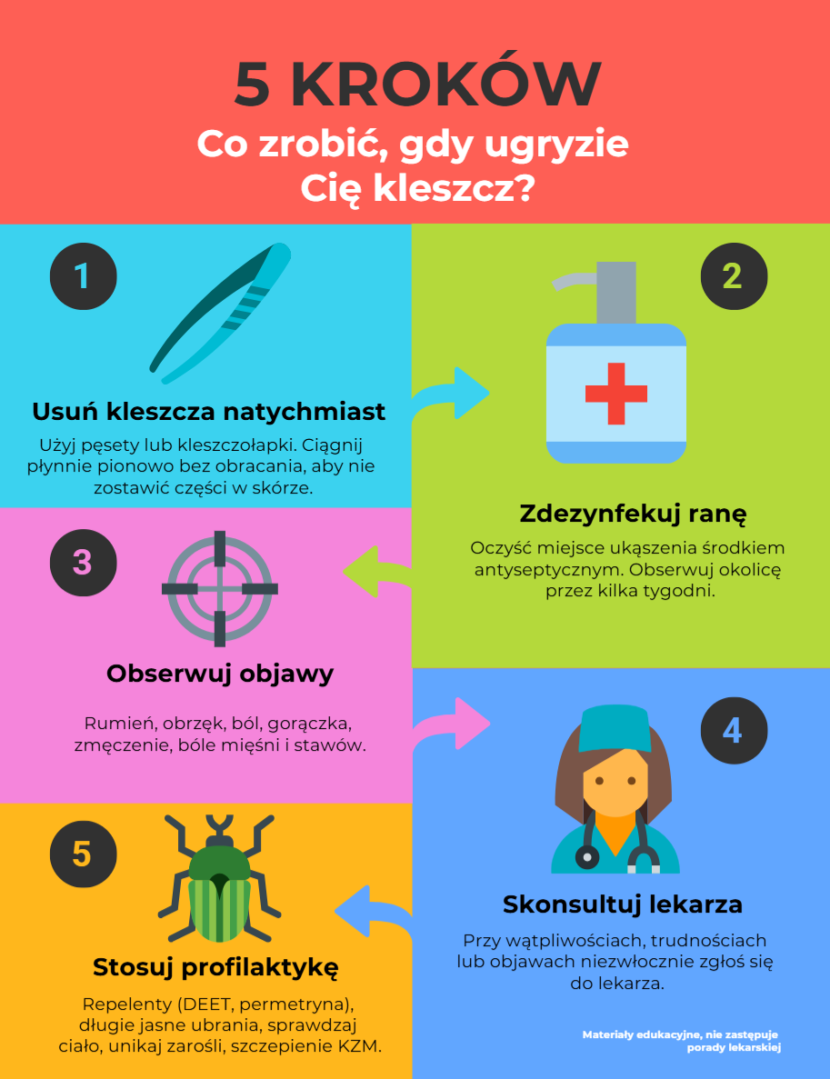 Co zrobić, gdy ugryzie Cię kleszcz