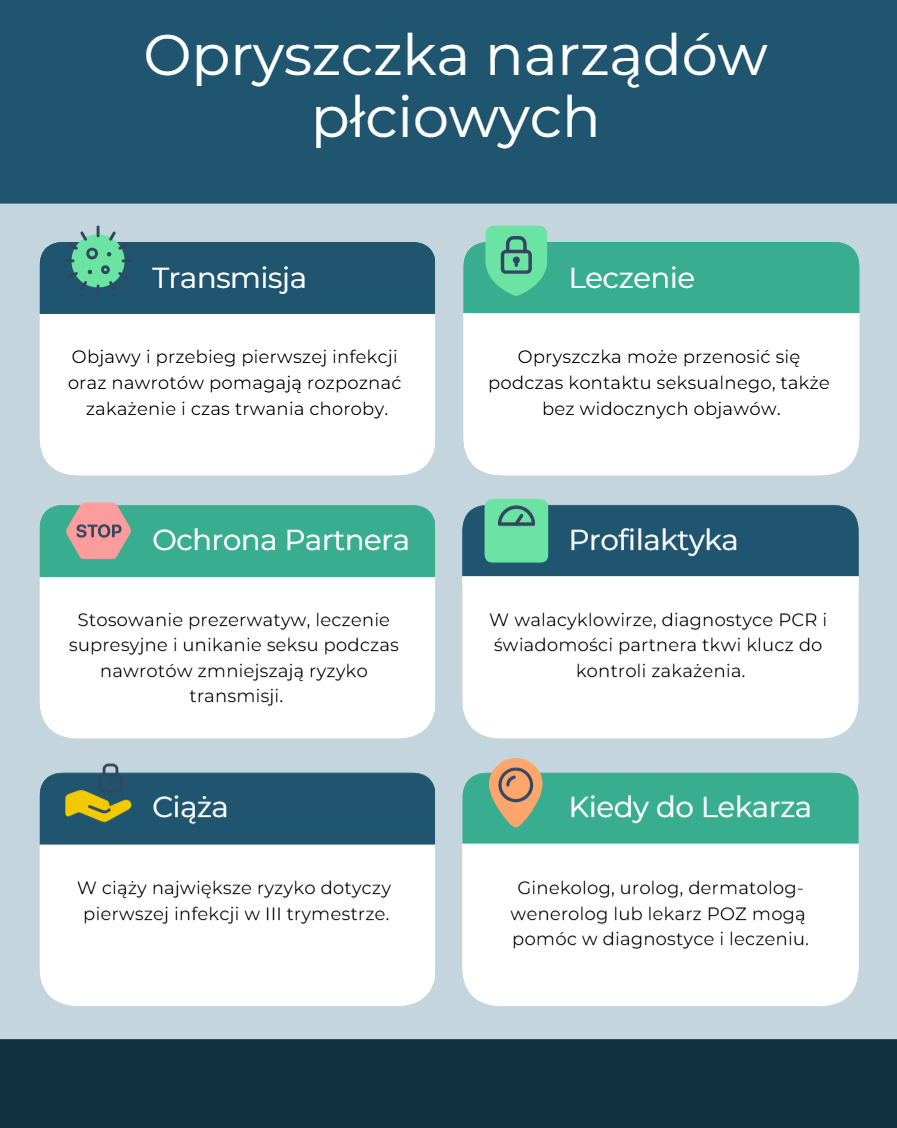 Infografika_ Opryszczka genitalna – objawy, transmisja, leczenie