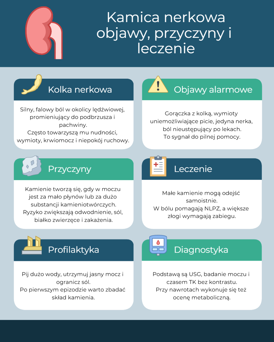 Kamica-nerekowa-infografika