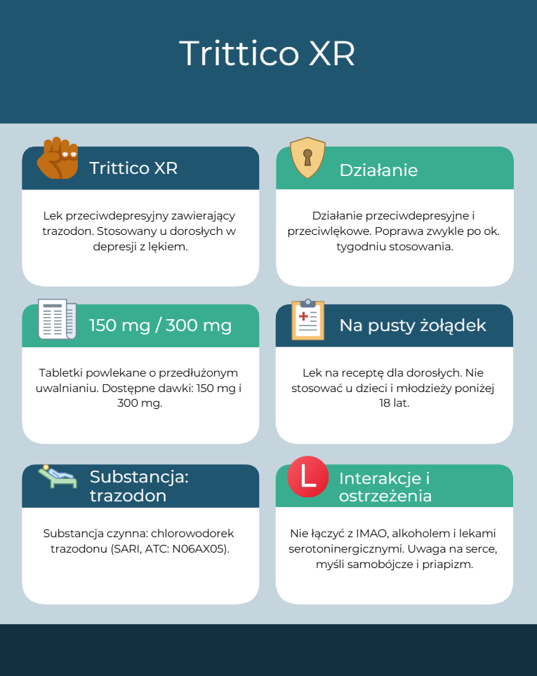 Trittico XR Infografika