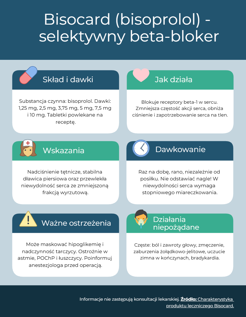 Bisocard – infografika