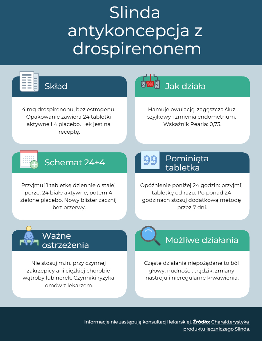Slinda – infografika